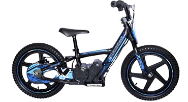 Kids Electric Dirt Bike 16” Lion